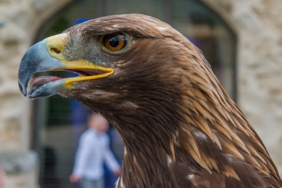 16-04-16 - Maurine et Jean - Photos vin d'honneur LD - 035