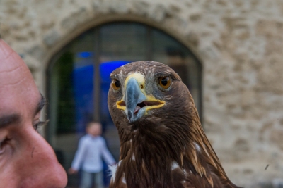 16-04-16 - Maurine et Jean - Photos vin d'honneur LD - 036
