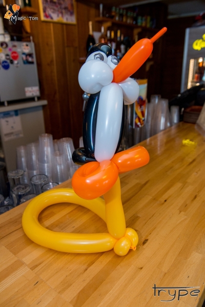 2018_02_28-16h04 - 046