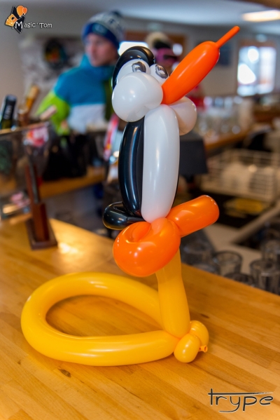 2018_02_28-16h05 - 047