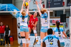 20231125 - Volleyball Pays Viennois vs Toulouse
