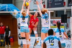 20231125 - Volleyball Pays Viennois vs Toulouse