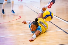 20240127 - Volleyball Pays Viennois VS Amiens Longueau